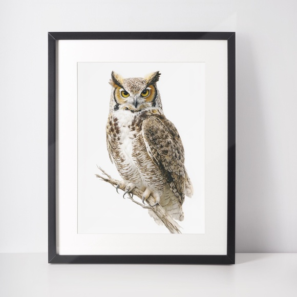 Watercolor Great Horned Owl Portrait Wall Art Print, Unframed - Woodland - Picture 3 of 6